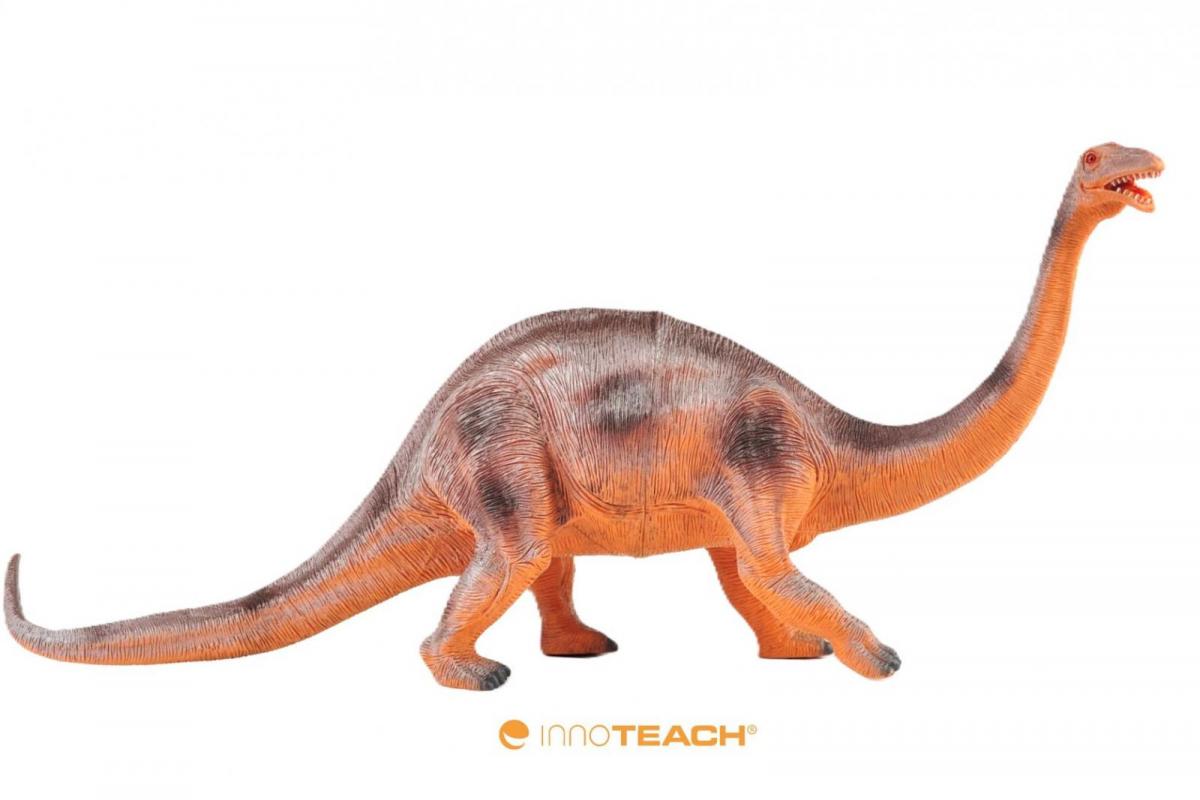 Apatosaurus