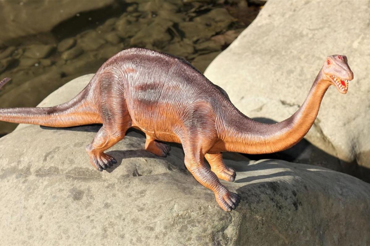 Apatosaurus