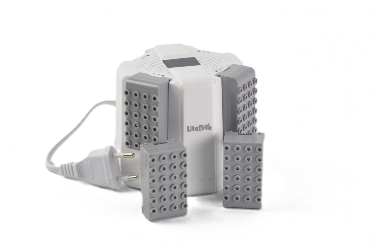 LiteBee Wing Schnelladestation