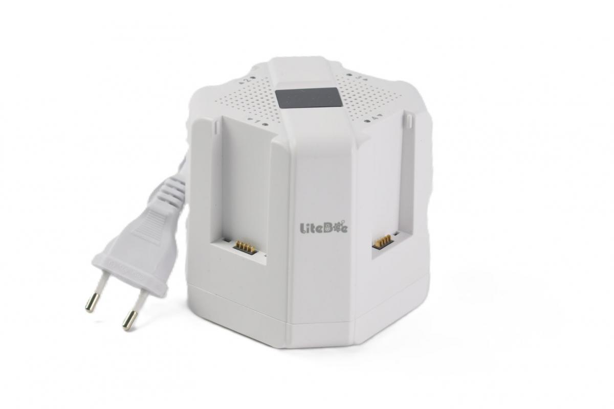 LiteBee Wing Schnelladestation