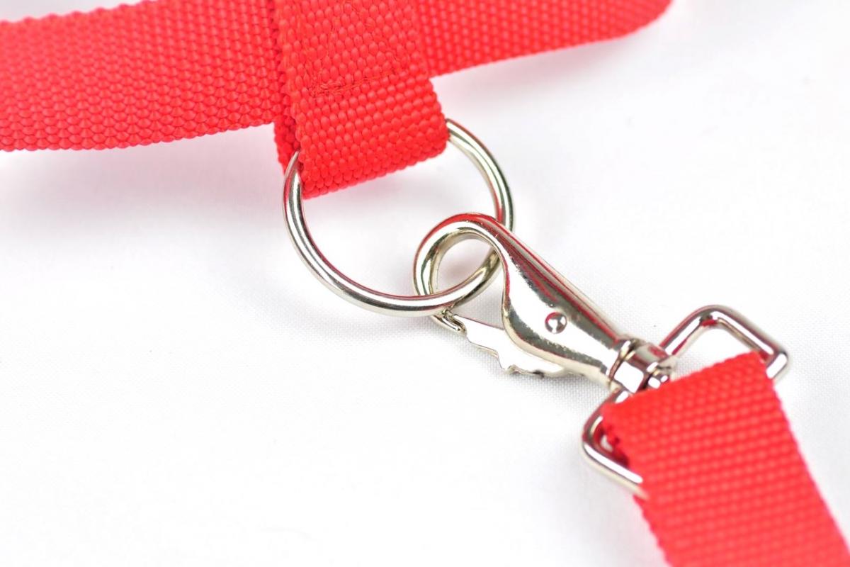 Pferdeleine Karabiner