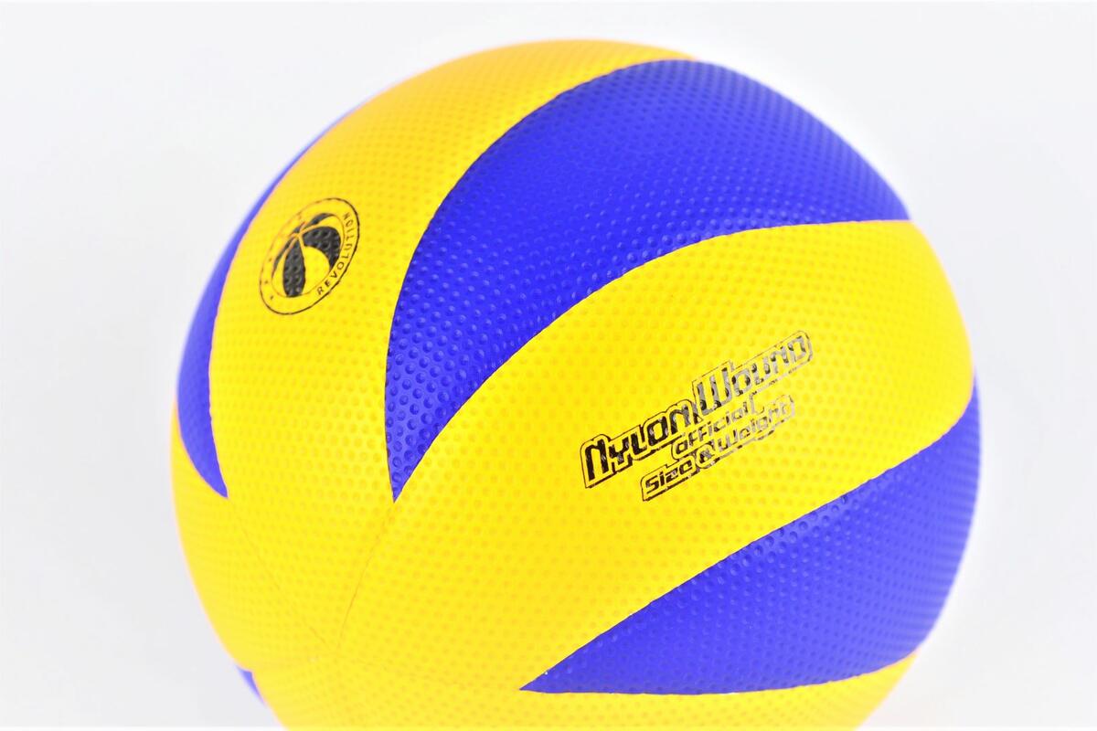 Volleyball Profi 5